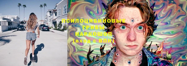 apvp Козловка