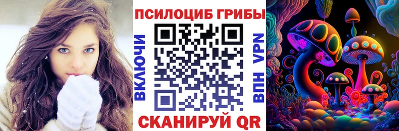 Купить где  Пермь  Псилоцибиновые грибы Psilocybe 